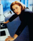 ga23_s.jpg (8106 bytes)