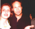 david_s.jpg (10756 bytes)